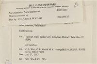 登錄號:F0031813藏品圖，第3張
