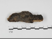 登錄號:F0031815藏品圖，第1張