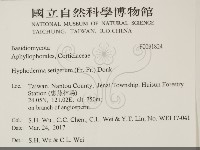 剛毛絲皮菌藏品圖，第2張