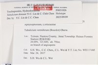 登錄號:F0031826藏品圖，第4張