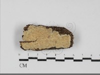 登錄號:F0031827藏品圖，第1張