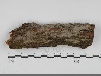 登錄號:F0031829藏品圖，第1張