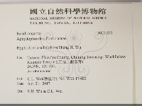 登錄號:F0031830藏品圖，第2張