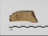 登錄號:F0031830藏品圖，第1張