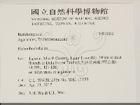 登錄號:F0031832藏品圖，第2張