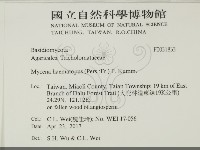 登錄號:F0031833藏品圖，第2張