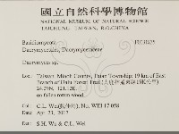 花耳屬藏品圖，第2張