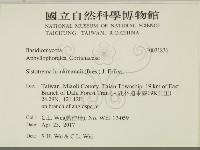登錄號:F0031836藏品圖，第2張