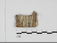登錄號:F0031836藏品圖，第1張