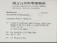 登錄號:F0031838藏品圖，第2張