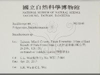 齒耳菌屬藏品圖，第2張