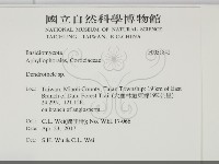 登錄號:F0031842藏品圖，第2張