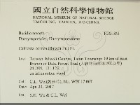 登錄號:F0031843藏品圖，第2張