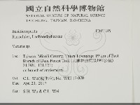 登錄號:F0031845藏品圖，第2張