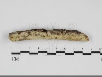 登錄號:F0031845藏品圖，第1張