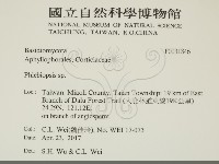 登錄號:F0031846藏品圖，第2張