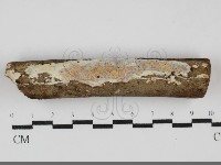 登錄號:F0031847藏品圖，第1張