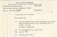 登錄號:F0031848藏品圖，第4張