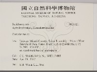 靈芝屬藏品圖，第2張