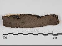 登錄號:F0031852藏品圖，第1張