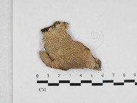 登錄號:F0031853藏品圖，第1張