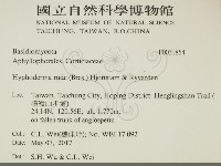 登錄號:F0031854藏品圖，第2張