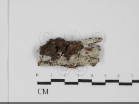 登錄號:F0031854藏品圖，第1張
