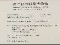 登錄號:F0031857藏品圖，第2張