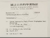 刺革菌屬藏品圖，第2張