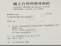 射脈菌屬藏品圖，第2張