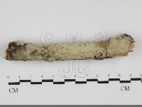 登錄號:F0031863藏品圖，第1張