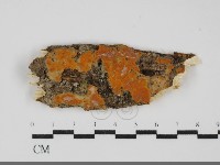 登錄號:F0031864藏品圖，第1張