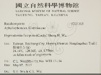 登錄號:F0031865藏品圖，第2張