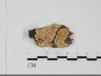 登錄號:F0031865藏品圖，第1張
