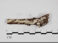 登錄號:F0031866藏品圖，第1張