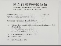 登錄號:F0031870藏品圖，第2張
