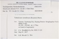 登錄號:F0031870藏品圖，第3張