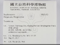 栓菌屬藏品圖，第2張