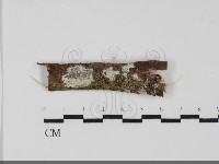 登錄號:F0031874藏品圖，第1張