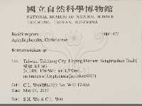 登錄號:F0031877藏品圖，第2張