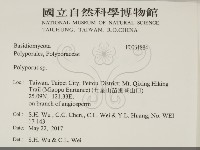 多孔菌屬藏品圖，第2張