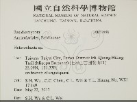 刺皮菌屬藏品圖，第2張