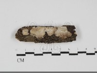 登錄號:F0031887藏品圖，第1張