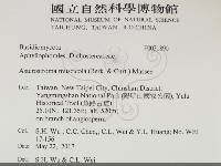 登錄號:F0031890藏品圖，第2張
