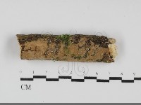 登錄號:F0031890藏品圖，第1張