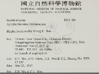 登錄號:F0031891藏品圖，第2張