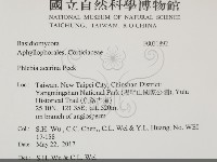 登錄號:F0031892藏品圖，第2張