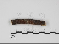 登錄號:F0031892藏品圖，第1張