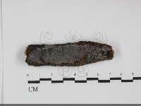 登錄號:F0031895藏品圖，第1張