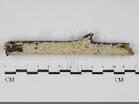 登錄號:F0031896藏品圖，第1張